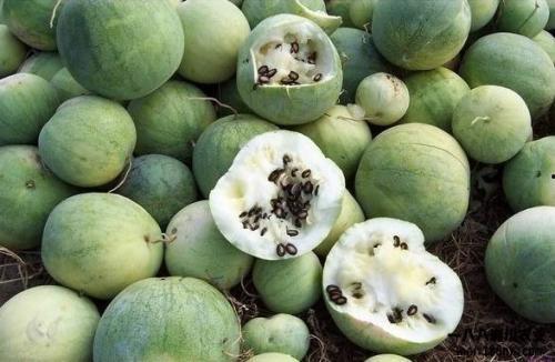 每年吃瓜,盘点娱乐圈那些事儿