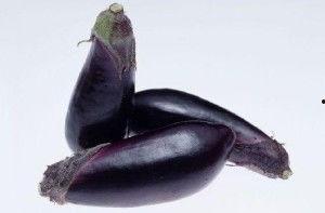 紫茄子吃瓜,紫茄子与吃瓜者的奇妙邂逅