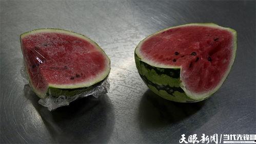 吃瓜传媒菌,吃瓜传媒菌带你领略幕后风云