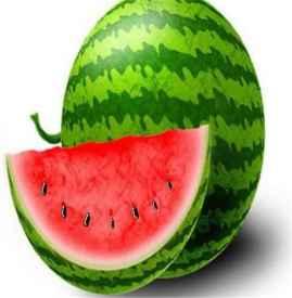 吃瓜会长成果视频,成果视频背后的精彩瞬间