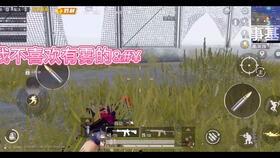 vlog沙雕吃瓜,趣味横生的美食探秘之旅