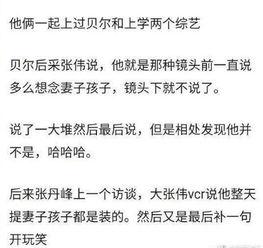 会长吃瓜账号,揭秘娱乐圈幕后真相，带你领略明星们的真实生活