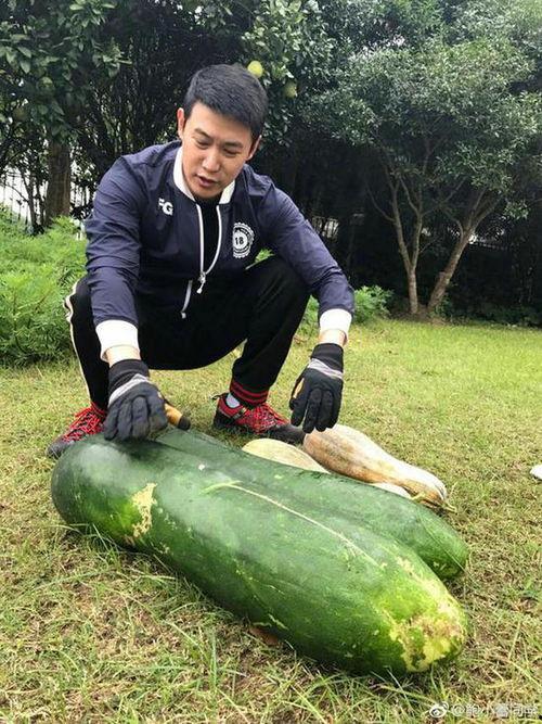 打脸吃瓜者,揭秘网络舆论背后的真相与反转