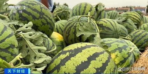 每日吃瓜热门大瓜更新,盘点今日热门大瓜，揭秘娱乐圈最新动态